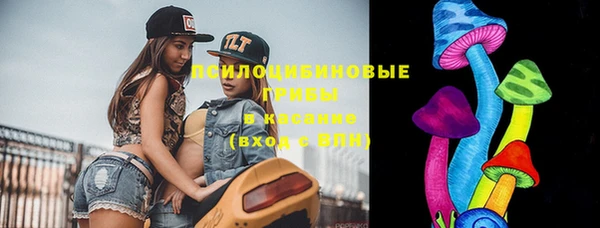 марки nbome Гусев