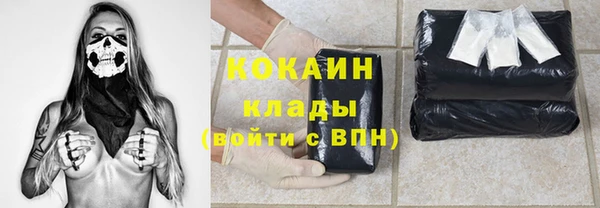 винт Гусь-Хрустальный