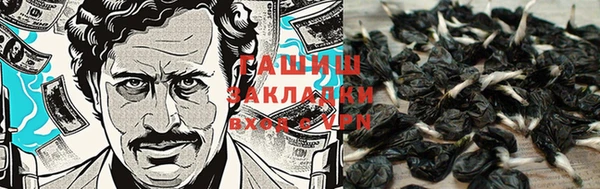 винт Гусь-Хрустальный