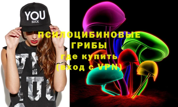 ПСИЛОЦИБИНОВЫЕ ГРИБЫ Гусиноозёрск